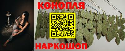 гидропоника Бугуруслан