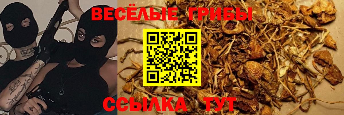Урай  Галлюциногенные грибы Psilocybine cubensis  Вход с VPN  Псилоцибиновые грибы Cubensis 